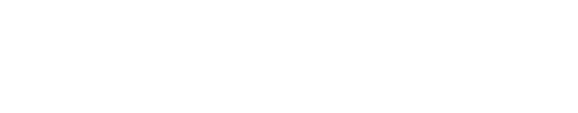 LightCastle Partners